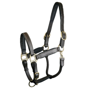 เชือกหนังแบบคล้องคอบุนวมธรรมดาพร้อมหัวเข็มขัดคู่หนังอังกฤษแบบคล้องคอสำหรับใช้ในชีวิตประจำวัน - Product Image 1