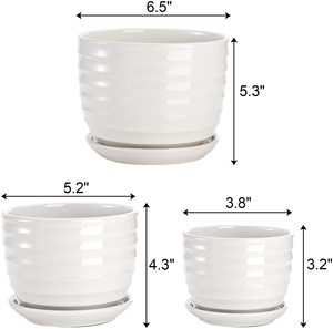 Fasmov vasi per <span class=keywords><strong>piante</strong></span> in ceramica foro di drenaggio e piattino rotondo fiore moderno <span class=keywords><strong>Cactus</strong></span> succulento tutte le <span class=keywords><strong>piante</strong></span> di casa <span class=keywords><strong>fiori</strong></span> succulente bianco - Product Image 3