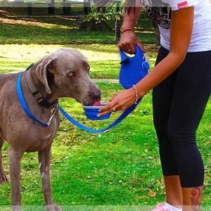Laisse portable pour animaux de compagnie avec bouteille d'eau, en ABS bleu, pour promenades en extérieur - Product Image 1