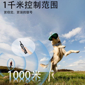 Dispositivo de entrenamiento para perros T10, control remoto, collar eléctrico recargable, supresor de ladridos para perros - Product Image 2