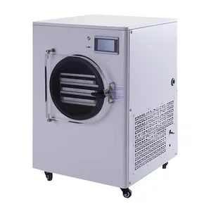 Home Use Stainless Steel Vacuum Freeze Dryer Machine Scientific Design Touch Screen Vacuum Freeze Drying Machine For Factory