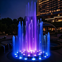 Fuente de Agua Musical Flotante de Acero Inoxidable con Luces LED RGB para Decoración de Jardín, Estanque o Lago, de Water Faery Factory