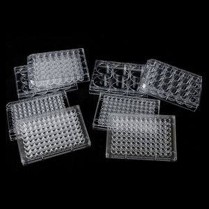 يمكن التخلص منها 6 12 24 48 96 لوحة زراعة الخلايا جيدا لوحة زراعة الأنسجة المعقمة لوحة مستوية القاع لوحة زراعة البكتيريا - Product Image 3