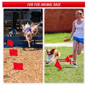 Banderas de Poliéster Personalizadas al por Mayor, Económicas, de Color Sólido o Impresas por Ambos Lados, con Asta de Fibra de Vidrio, Resistentes al Agua - Product Image 4