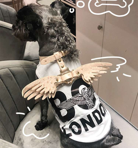 Güzel kanatları sevimli kanat zinciri entegre kolu sıcak satış lüks eğitim evcil hayvan koşumu tasmaları tasmalar özel köpek göğüs tasması seti - Product Image 3