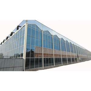 Invernadero de vidrio de invernadero vegetal de alta calidad de China con cultivo hidropónico para <span class=keywords><strong>verduras</strong></span> y flores al mejor precio - Product Image 1