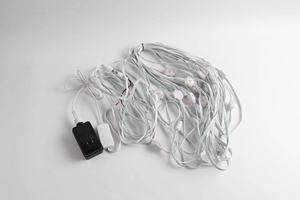 Lumières d'extérieur permanentes Smart RGB Outdoor <span class=keywords><strong>LED</strong></span> Lights Eaves Lights IP67 Waterproof for Garden Decor Work Alexa Google - Product Image 6