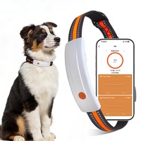 Collier intelligent pour animaux de compagnie avec mini caméra POV, visualisation en direct en temps réel, traceur GPS étanche Android pour chiens de taille moyenne à grande, surveillance extérieure