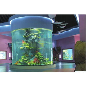 Aquarium en acrylique de qualité supérieure, Aquarium de poissons Betta transparent 100% - Product Image 6