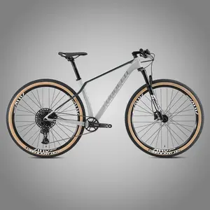 自行车气叉MT 200液压制动器硬尾车架碳循环29er自行车待售