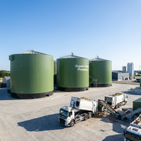 Réacteur automatique de traitement du biogaz à grande échelle 316L 7000CBM pour usine de traitement des déchets organiques et des boues d'élevage