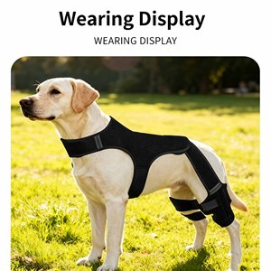 Orthopedic Dog Knee Brace Rear Leg Support <b>Harness</b> Pets with Hip <b>Harness</b> Leg Support for Walking Dog Back Knee Brace Adjustable - Product Image 6