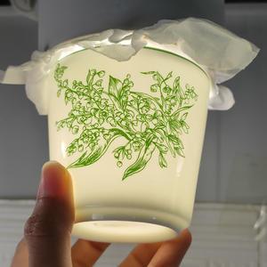 Nouveaux modèles de vaisselle en porcelaine de style européen, 10 pièces, motif lys de la vallée vert - Product Image 6