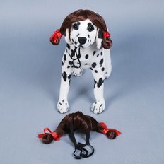 Mascotte cane e gatto pedone con i capelli lucenti per la compagnia pawptitive - Product Image 1
