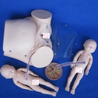 Modèle de simulation d'accouchement pour poupée enceinte, démonstration de naissance, mannequin obstétrique