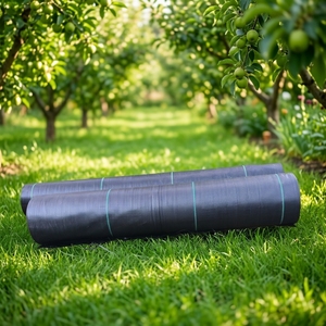 <span class=keywords><strong>Film</strong></span> de paillage en PP HDPE/PE anti-UV, imperméable, 60-200 g/m², personnalisable, pour couverture de sol et aménagement paysager - Product Image 1