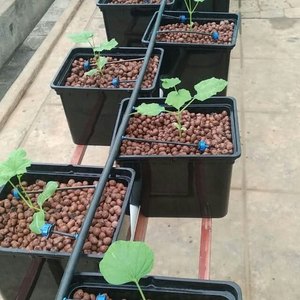 Quadrato nero di Plastica Bato Benna Olandese per Giardinaggio Serra Idroponica Sistema di Irrigazione - Product Image 6