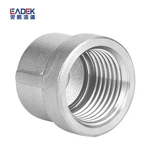 Free Sample Chinese Brand EADEK Smooth Threaded Male NPT BSP PT Thread Forging Round Cap