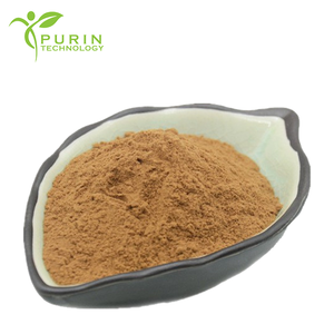 Extracto de Andrographis <span class=keywords><strong>Paniculata</strong></span>, Andrografólido CAS 5508-58-7, Polvo de Extracto de Andrographis - Product Image 4