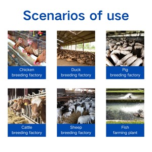 Solución Oral Multivitamínica para Ovejas y Ganado, Suplemento Rápido de Vitaminas y Minerales - Product Image 6