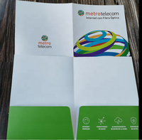 Carpeta de Archivo A4 Personalizada al por Mayor con Bolsillo, Papel Offset, Logotipo, Presentación 4c+4c CMYK para Proceso de 4 Colores (CMYK)
