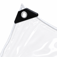 Bâche transparente robuste avec œillets 10x20FT, bâche acrylique imperméable 14 mil, idéale pour tente extérieure et abri de patio