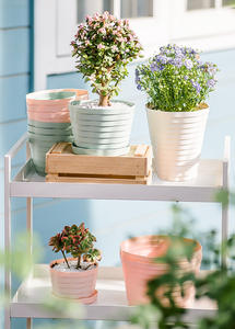 Newly Designed Resin Contemporary Minimalist Shopping Mall Garden Eco-friendly Durable Outdoor Circular Lazy Self-watering - Product Image 2