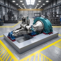Générateur de turbine à vapeur à biomasse pour l'alimentation en énergie renouvelable des usines et des centrales électriques