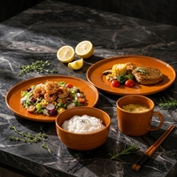 Service de table en grès réactif 16 pièces – Assiettes, bols et tasses en céramique – Collection moderne pour la maison et la restauration