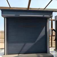 Porte à enroulement électrique en aluminium économique, durable, couleur RAL personnalisée, portail roulant économique, portes à enroulement de sécurité commerciales