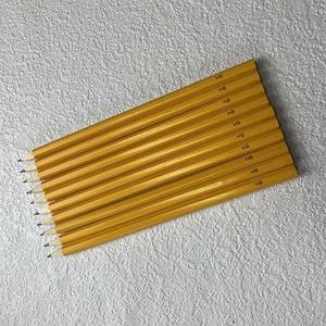 Crayons de couleur à pousses personnalisés, oubliez-moi, non fabriqués à partir de crayons à plantes en bois certifiés - Product Image 4