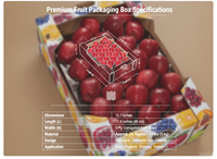 Boîte en carton ondulé pliable recyclable 10 kg Raisin pour l'exportation de fruits frais Transport maritime