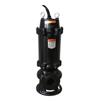 Pompes submersibles d'eau sale de déchets de mine de fosse sèche résistante d'égout de vidange de vidange de pompe d'égout