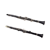 Made in China Wholesale Musical Instruments Clarinet