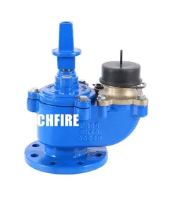 BS750 Ngầm Fire Hydrant