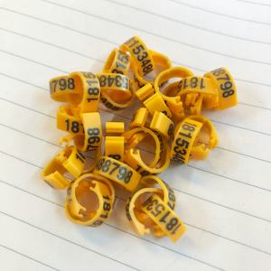 Clip <span class=keywords><strong>Pigeon</strong></span> Race <span class=keywords><strong>Racing</strong></span> Plastic <span class=keywords><strong>Ring</strong></span> Kip Voet <span class=keywords><strong>Ring</strong></span> Open <span class=keywords><strong>Ring</strong></span> Met Telefoonnummer - Product Image 1