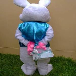Costume de Mascotte Lapin de Pâques, Déguisement Animal Lapin pour Fête, Tenue de Cosplay Homme - Product Image 2