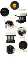 Imprimante alimentaire portable semi-automatique, encre comestible, machine d'impression jet d'encre pour gobelets à café, latte art, Colorsun 110V/220V, garantie de 2 ans