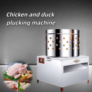 カスタマイズ可能な直径60cmステンレス製電動農場用鶏毛抜き機、新品、1年間保証、アヒル・七面鳥対応 - Product Image 6