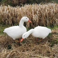 Décoys de canard des neiges réalistes en mousse EVA plastique personnalisés en gros, oies blanches flottantes pour la chasse