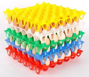 中国制造商定制注塑塑料蛋托
