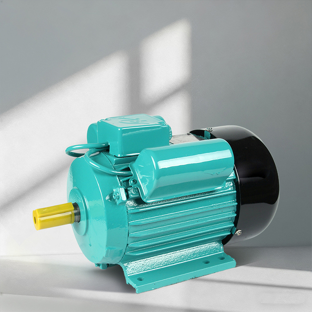 YL100L-2 China Custom Single-Phase 220V 220 Volts 3000W Ac Electric Drive Motors Electrical Motor for Outdoor Fan
