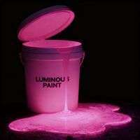 Peinture phosphorescente luminescente pour pistes sportives, peinture luminescente pour l'art peint à la main et peinture phosphorescente