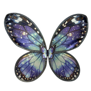 Per il Giorno dei Bambini è stata organizzata una performance sul palco con ali di farfalla con stampe colorate, costumi da festival e accessori. - Product Image 4