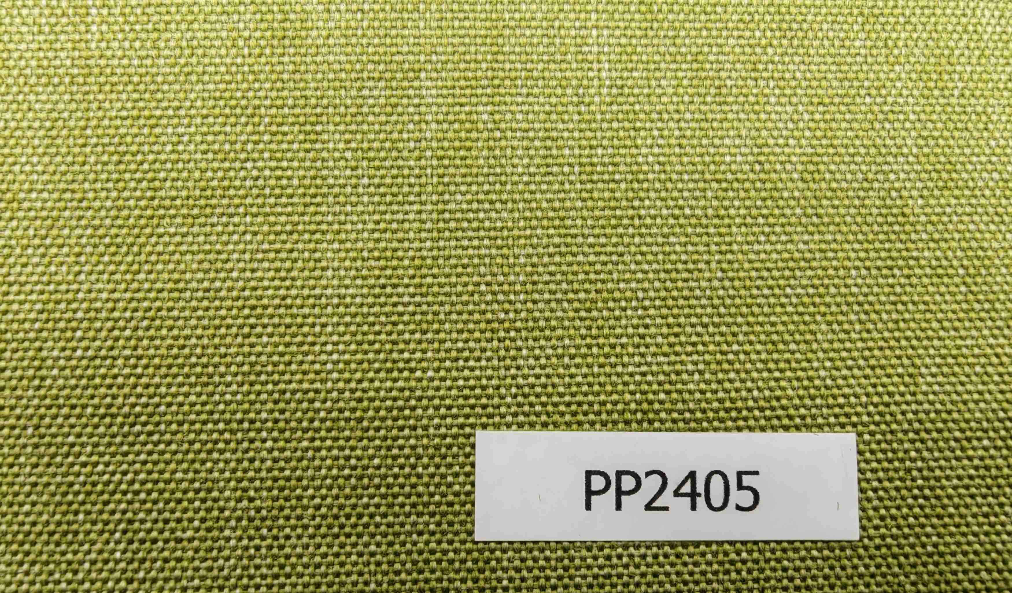 PP2405