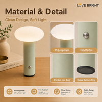 Lampe de table décorative sans fil rechargeable USB-C en PE coloré avec base en fer, 3 températures de couleur et gradation progressive pour chambre à coucher – Idée cadeau