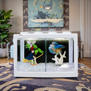 Jsd Bán Buôn Trong Suốt Acrylic Máy Tính Để Bàn Bể Cá Phong Cách Hiện Đại Mini Hình Chữ Nhật Nhỏ Nhựa Betta & Cá Vàng Hộp - Product Image 1