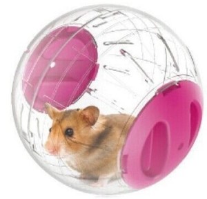 Piccolo Pet Run The Ball Toy Home criceto palla da corsa trasparente 10cm Jogging animali domestici cincillà accessori per criceti - Product Image 1