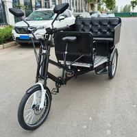 Vélo cargo électrique à trois roues pour adultes, tricycle cargo populaire à pédales, taxi à pédales, rickshaw à assistance électrique, pousse-pousse à vendre