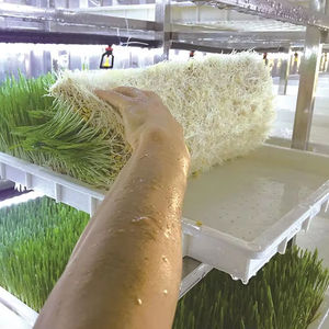 Conteneur de 20 pieds pour ferme intelligente, système d'agriculture verticale hydroponique à 8 niveaux pour micro-légumes, avec système d'engrais automatique contrôlé par PLC, garantie 1 an - Product Image 1